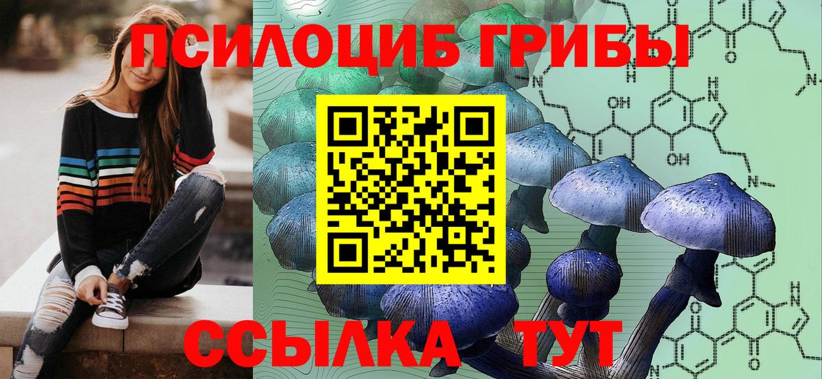 Апрелевка  купить наркотики сайты  Вход с VPN  Псилоцибиновые грибы мицелий 