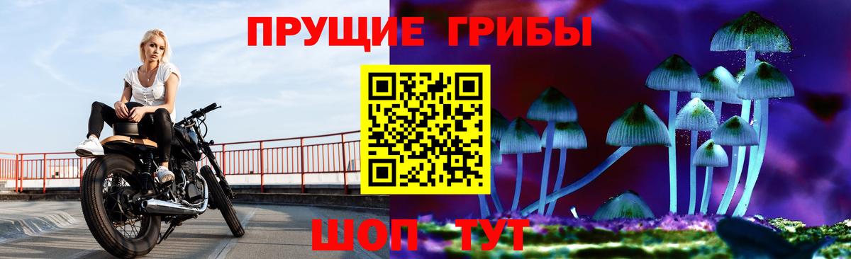 Галлюциногенные грибы мицелий Апрелевка